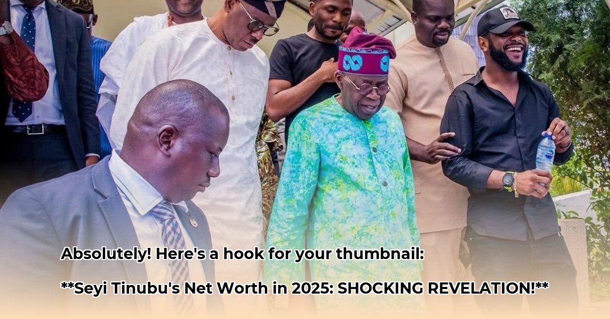 seyi-tinubu-net-worth